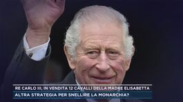 Re Carlo III, in vendita 12 cavalli della madre Elisabetta thumbnail