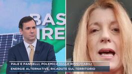 Pale e pannelli, polemiche sulle rinnovabili: il punto di vista di Michela Vittoria Brambilla thumbnail