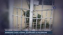 Allarme cinghiali, chiude il parco di Villa Pamphilj a Roma thumbnail