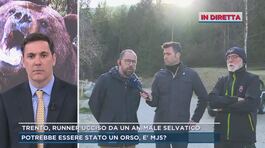 Trento, runner ucciso da un animale selvatico thumbnail