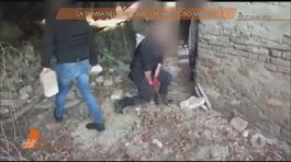 La tomba nel casolare di Novellara thumbnail