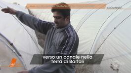 Lo zio Danish: "Saman uccisa dalla madre" thumbnail