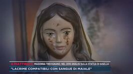 Madonna Trevignano, nel 2016 analisi sulla statua di Gisella thumbnail
