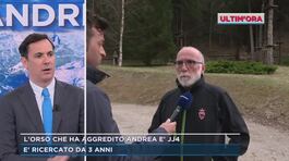 Trentino, l'orso che ha aggredito Andrea è JJ4 thumbnail
