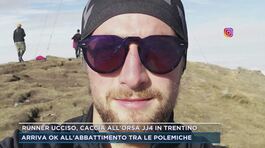 Runner ucciso, caccia all'orso JJ4 in Trentino thumbnail