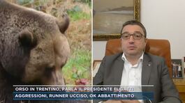 Orso in Trentino, parla il presidente Fugatti thumbnail