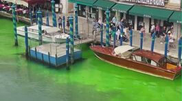 Venezia, il Canal Grande verde fosforescente thumbnail