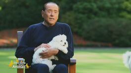 Silvio Berlusconi e l'amore per gli animali thumbnail