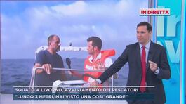 Squalo a Livorno, avvistamento dei pescatori thumbnail