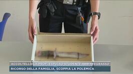 Accoltellò la prof, espulso studente Abbiategrasso thumbnail