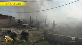 Ghetto di Mezzanone, il mistero degli incendi thumbnail