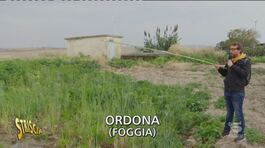 Altro che siccità, un milione di litri di acqua al giorno sprecati in Puglia thumbnail