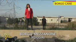 Tra Stato e anarchia a Borgo Mezzanone thumbnail