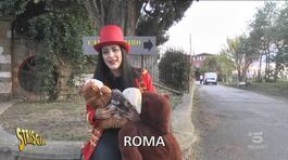 Proiettili in casa e spari a qualsiasi ora: il Far West alle porte di Roma thumbnail