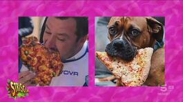 Renzi e Salvini, il politico felino e il ministro cane thumbnail