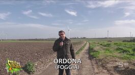Pinuccio mette uno "sparatrap" all'acquedotto (cioè un cerotto detto alla pugliese) thumbnail