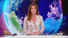 Arlecchini, coperte e serpenti: tutto fa moda. Caustica thumbnail