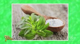 In cerca della stevia, il dolcificante più amato dal marketing thumbnail