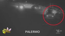 Campioni di inciviltà e di lancio di spazzatura in autostrada thumbnail