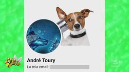 "Per 175 euro ti ritrovo il gatto": ma ora il ricercato è lui thumbnail