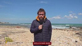 Mola di Bari, una fogna bianca, tanti problemi thumbnail