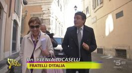 Matteo Renzi sta benissimo anche senza Calenda thumbnail