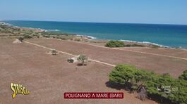 Polignano a Mare, il parco a rischio privatizzazione thumbnail