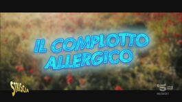 "Il complotto allergico", cosa c'è dietro il polline di primavera? thumbnail