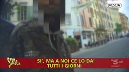 Brescia, gli spacciatori che si riforniscono in farmacia thumbnail