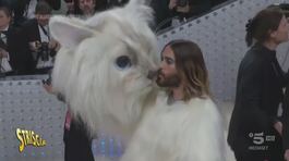 Jared Leto vestito da gatto per ricordare Karl Lagerfeld thumbnail