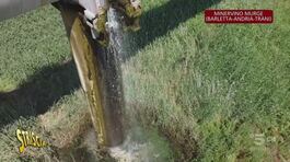 Puglia, le cascate gentilmente fornite dell'Ente Irrigazione thumbnail