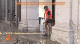 Alluvione nelle Marche: la desolazione del giorno dopo thumbnail