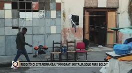 Reddito di cittadinanza: "Immigrati in Italia solo per i soldi" thumbnail