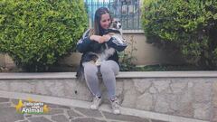 La storia di Marika Iovino - Dalla parte degli animali Video ...