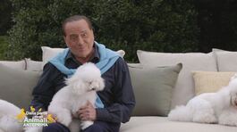Il saluto di Silvio Berlusconi thumbnail