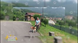 La nuova famiglia di Pippo thumbnail