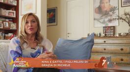 Nina e Gatto, i figli pelosi di: Grazia Di Michele thumbnail