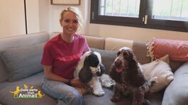 Charlie e Alex, i figli pelosi di Justine Mattera thumbnail