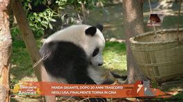 Notizie dal mondo con Lucky thumbnail