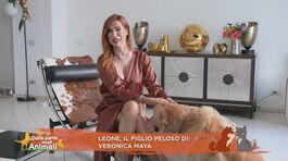 Leone, il figlio peloso di: Veronica Maya thumbnail