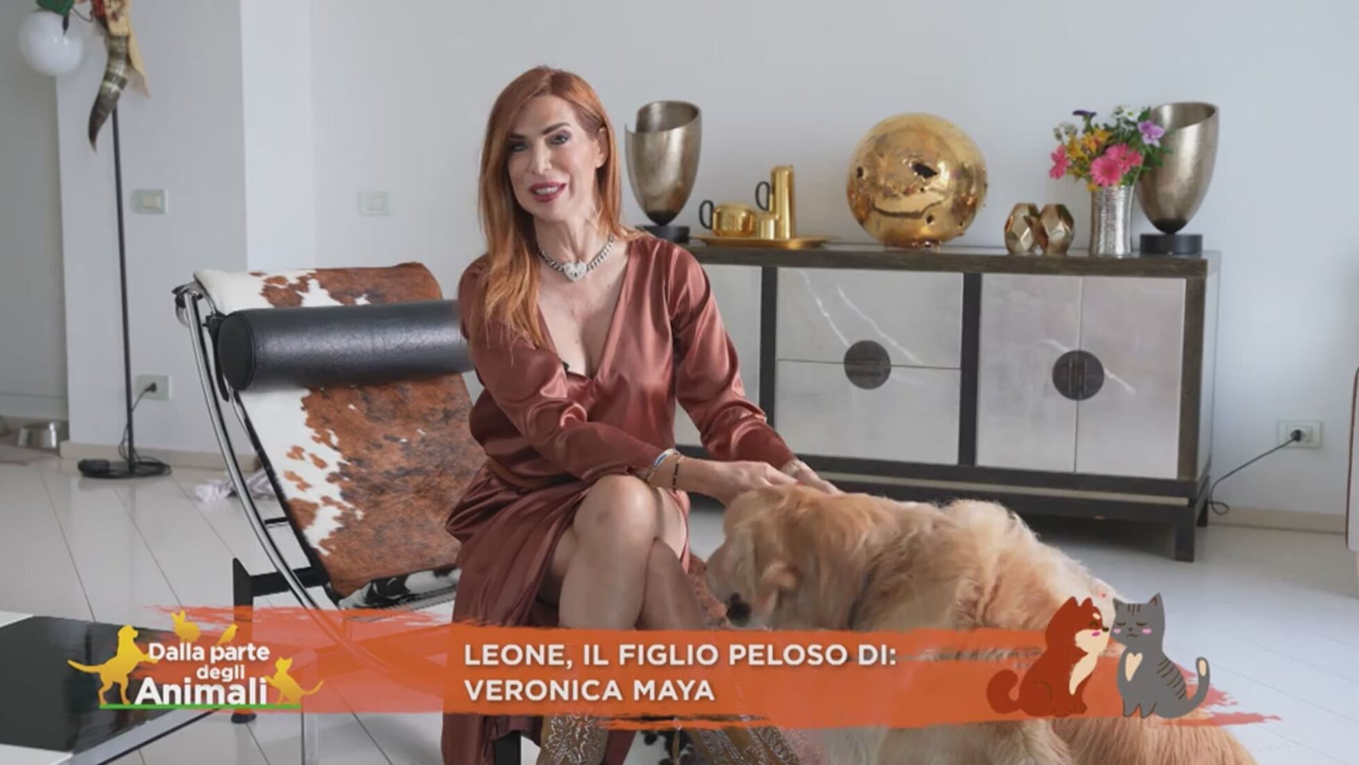 Dalla parte degli animali: Leone, il figlio peloso di: Veronica Maya Video  | Mediaset Infinity