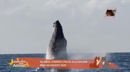 Notizie dal mondo thumbnail