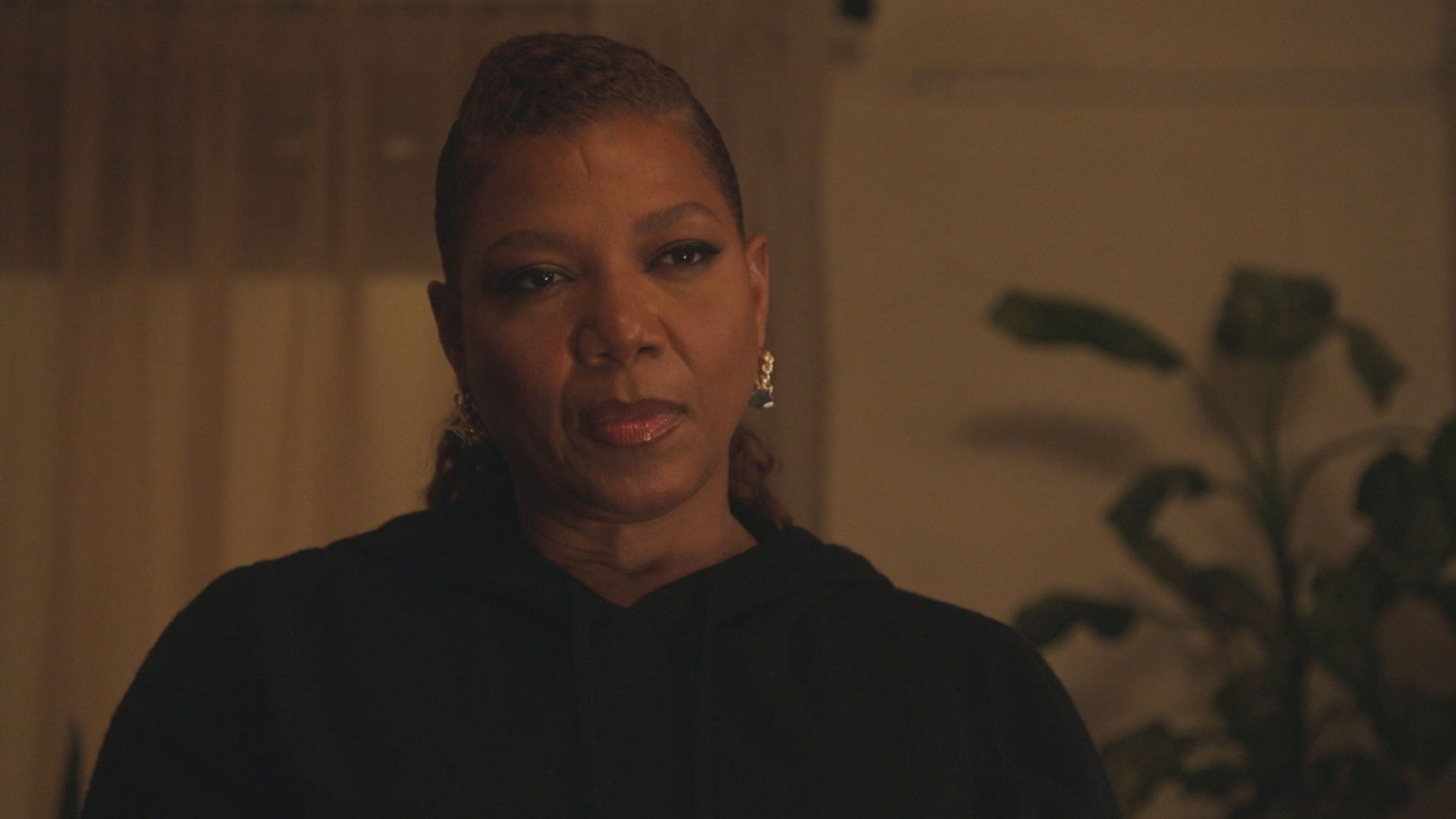 The Equalizer