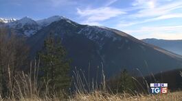 100 anni per il Parco nazionale d'Abruzzo thumbnail