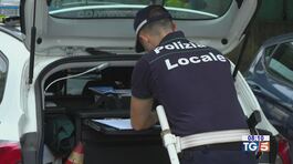 Dal Cdm nuove regole sul codice della strada thumbnail