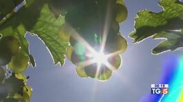 Temperature estive, ma siamo in autunno thumbnail