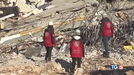 Sisma, 17mila morti, primi aiuti alla Siria thumbnail