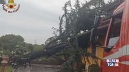 Tempeste di pioggia, colpito il centro nord thumbnail