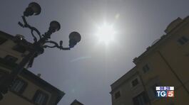 Il lungo ponte di novembre thumbnail