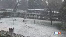 Temporali, neve e vento record thumbnail